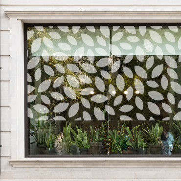 Film occultant pour vitre et fenêtre à motifs feuilles arbres