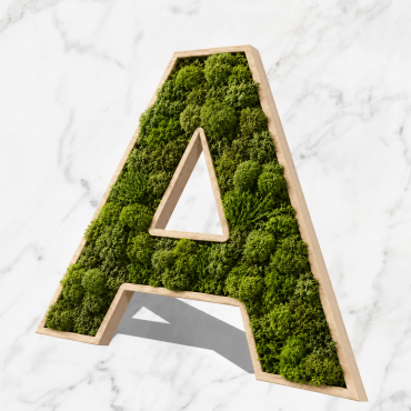 copy of Plant bokstäver med syntetiska örter